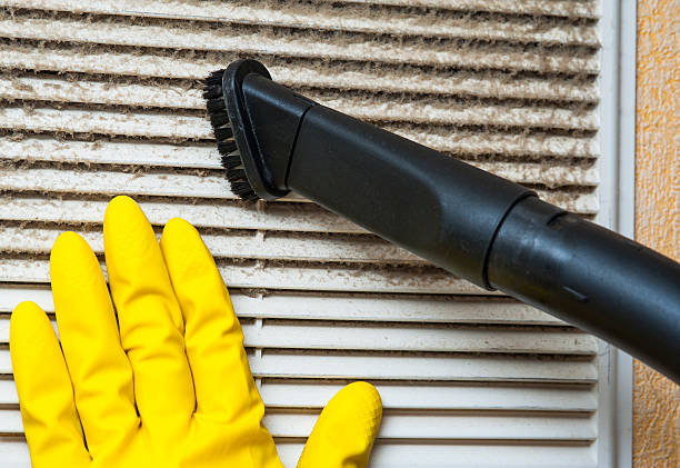 Best Professional Duct Cleaning Services  in Macon, MS